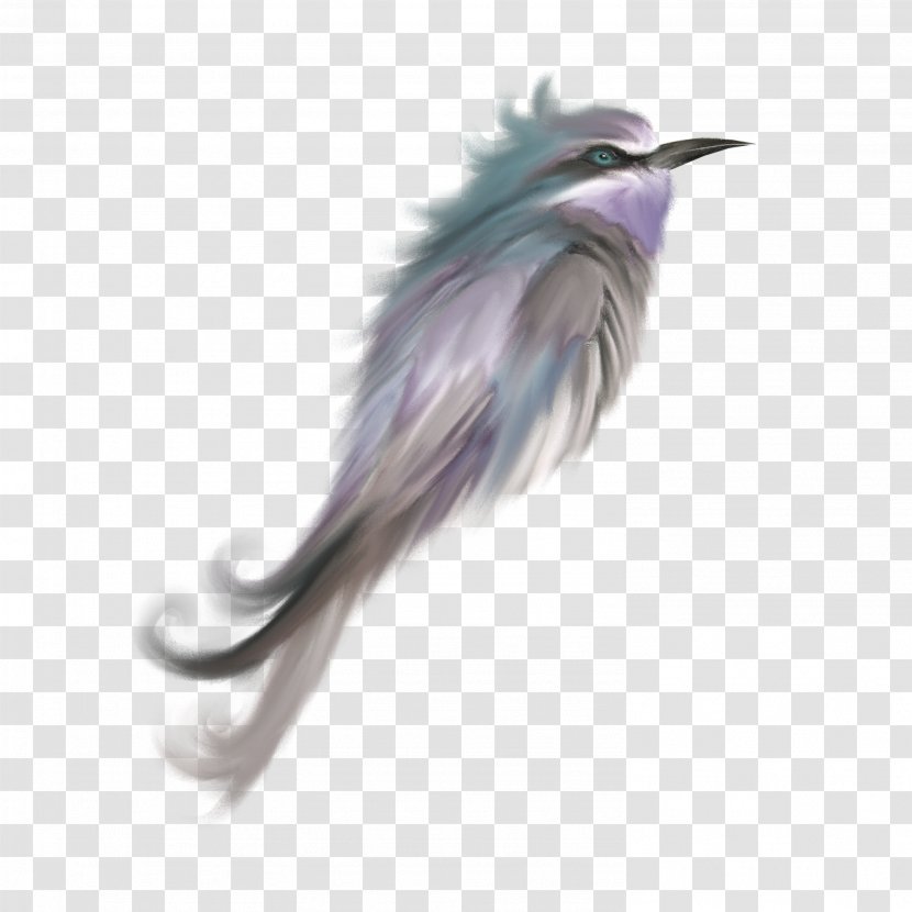 Cute Birds Feather Clip Art - Lilacbreasted Roller - Color Transparent PNG