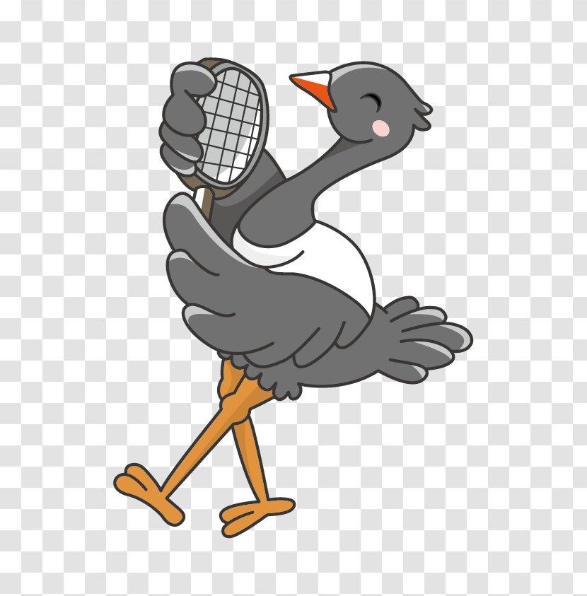 Common Ostrich Bird Animal Duck Goose Transparent PNG