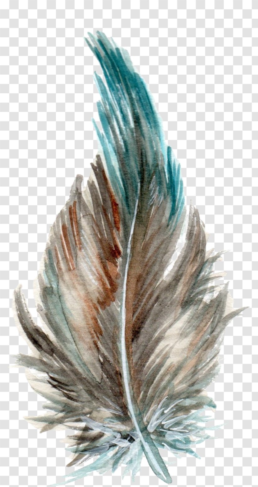 Teal Turquoise Feather Tail - Wing - Feathers Transparent PNG