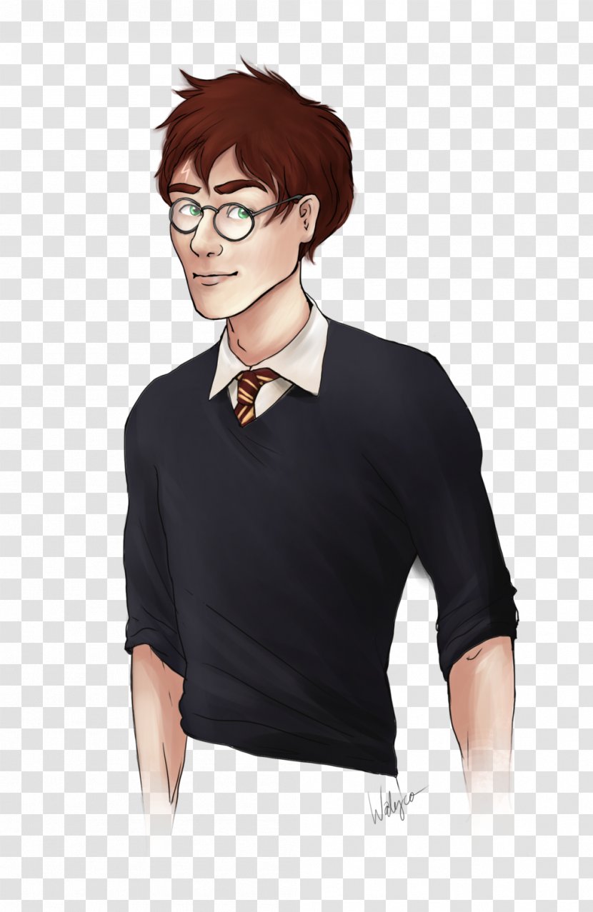 Harry Potter And The Philosopher's Stone James Dobby House Elf Fan Art - Frame Transparent PNG
