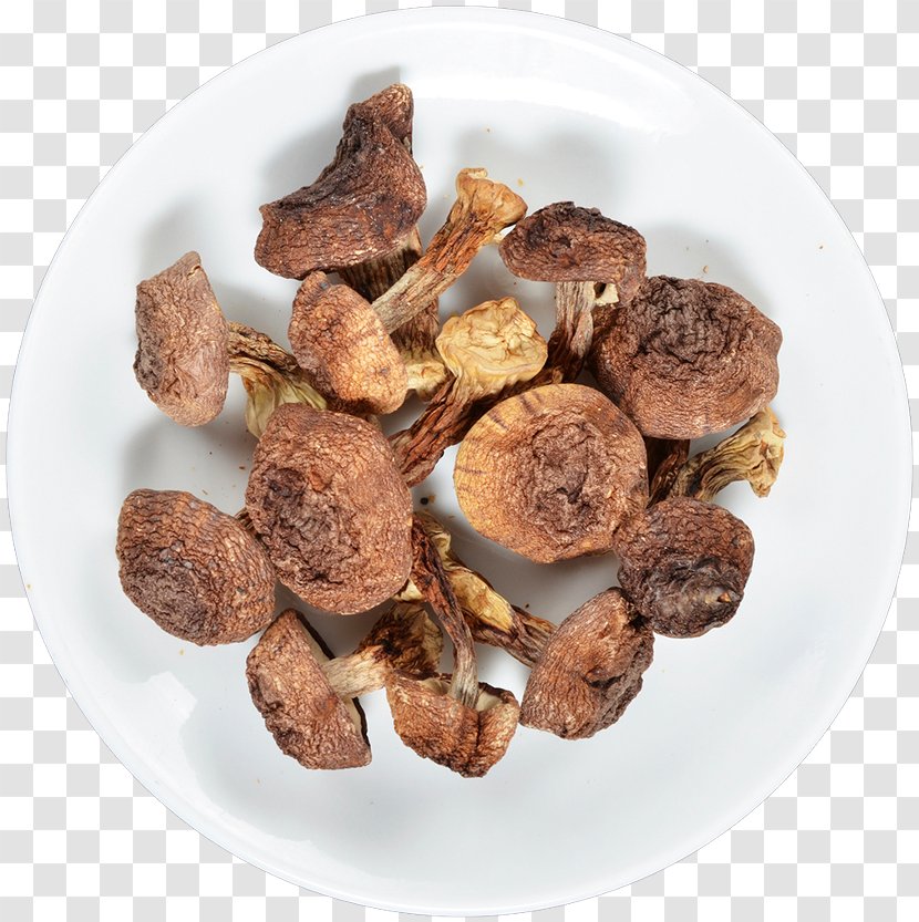 Dietary Supplement Agaricus Subrufescens Mushroom Medicinal Fungi - Superfood Transparent PNG