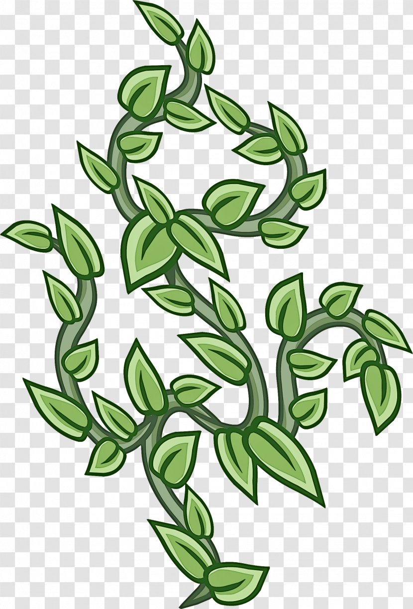 Plant Leaf Flower Green Branch - Grass Flowering Transparent PNG