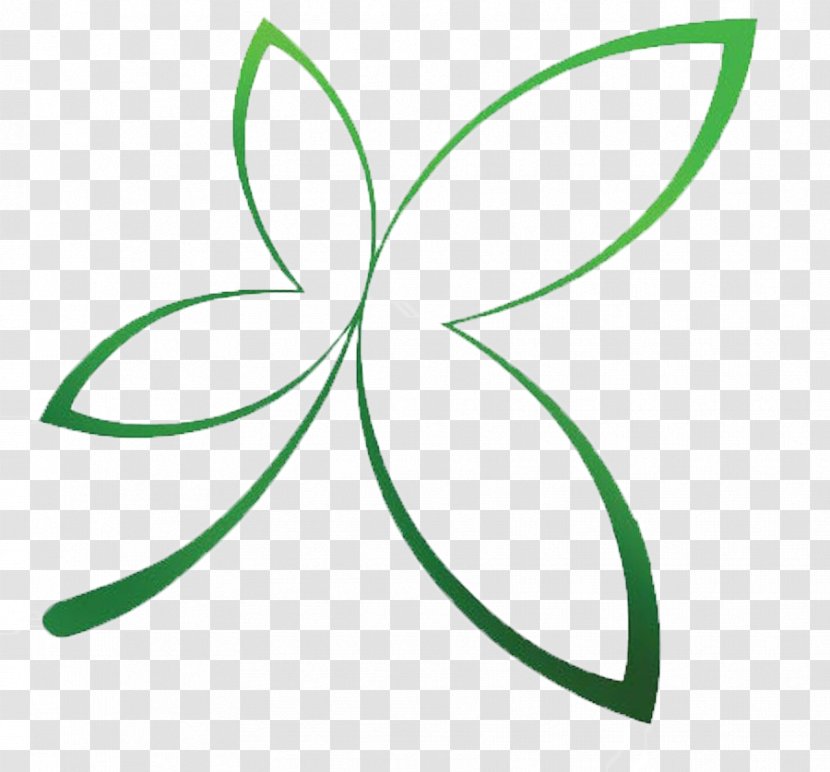 Leaf Green Line Plant Stem Clip Art - Flora Transparent PNG