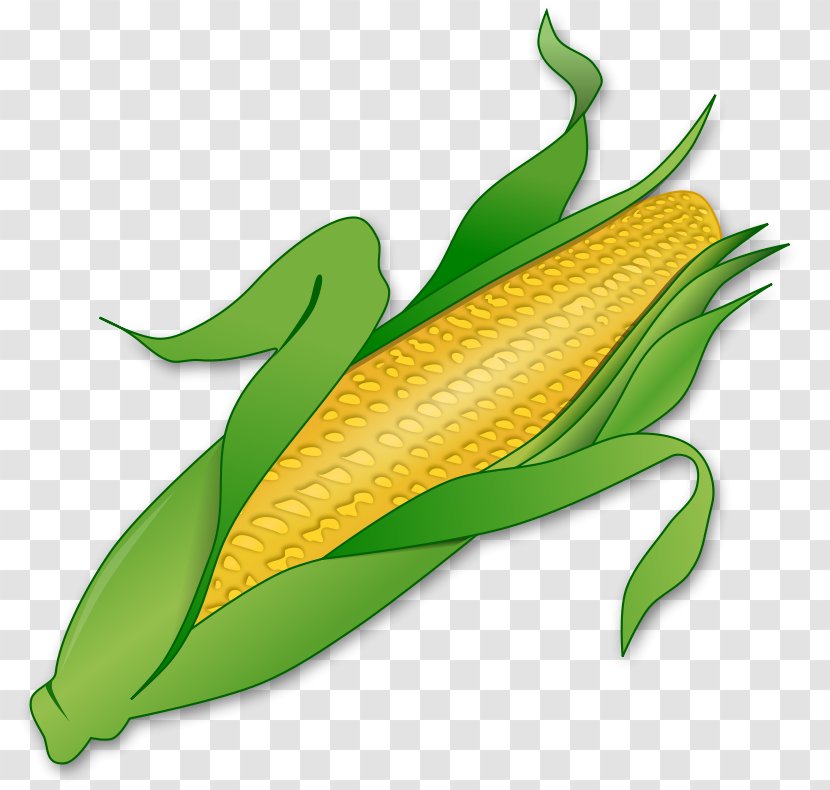 Corn On The Cob Maize Sweet Clip Art - Corncob - Vegtable Pictures Transparent PNG