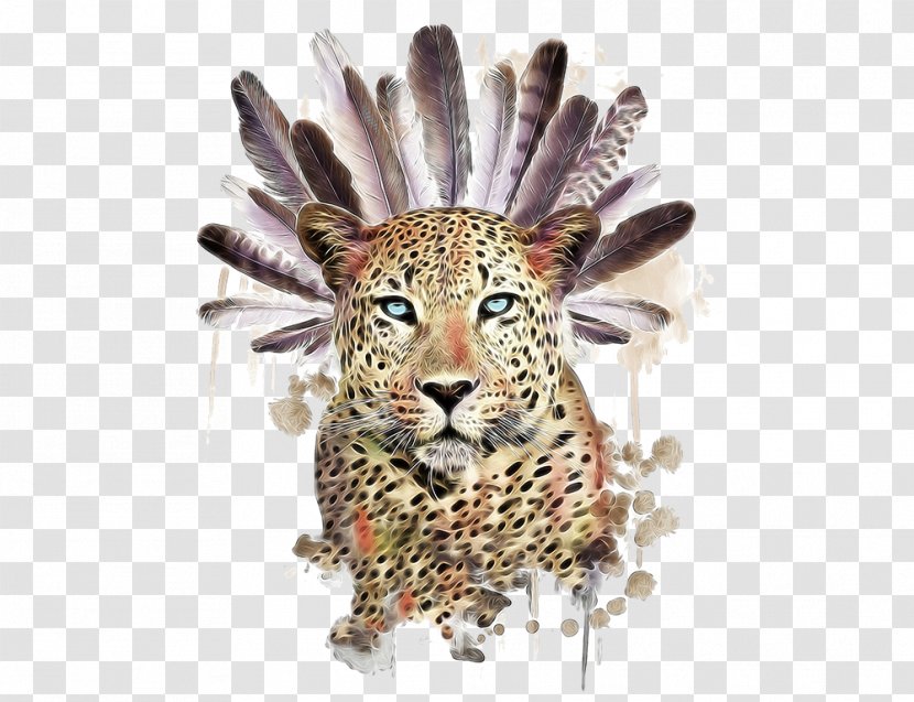 Raccoon Tiger Owl Symbol Illustration - Feather And Cheetah Transparent PNG