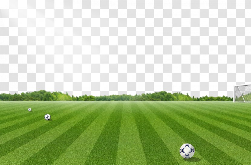 Football Pitch Lawn - Player - Field Pattern Transparent PNG