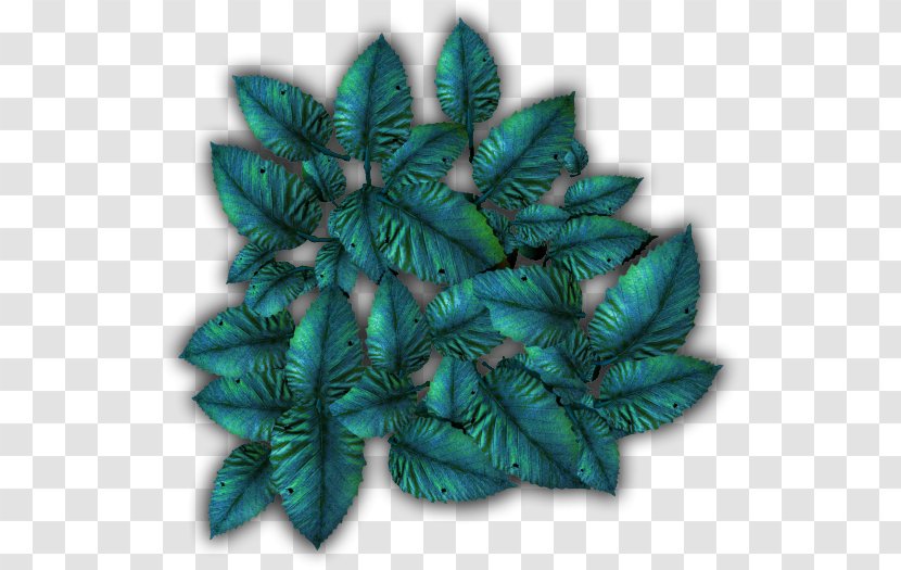Leaf Turquoise - Tropical Foliage Transparent PNG