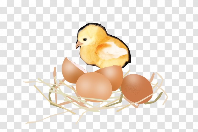Chicken Egg Duck - Broken Shell Chick Transparent PNG