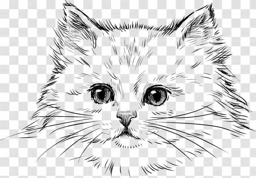 Cat Kitten Drawing Clip Art - Frame - Persian Transparent PNG