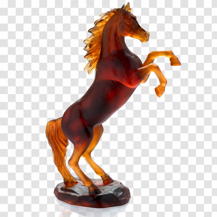 Arabian Horse Mustang Daum Appaloosa Rearing - Mane Transparent PNG