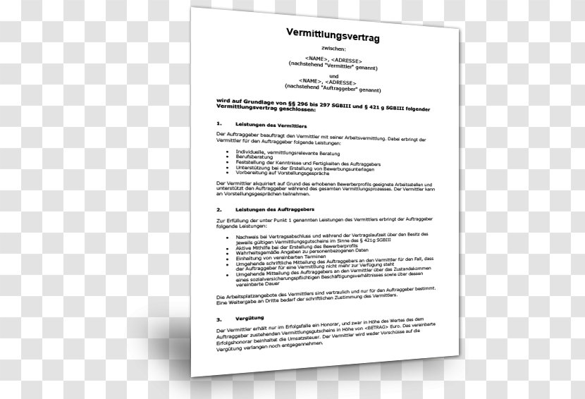 Curriculum Vitae Résumé Document Template Muster - Material - Personal Resume Transparent PNG