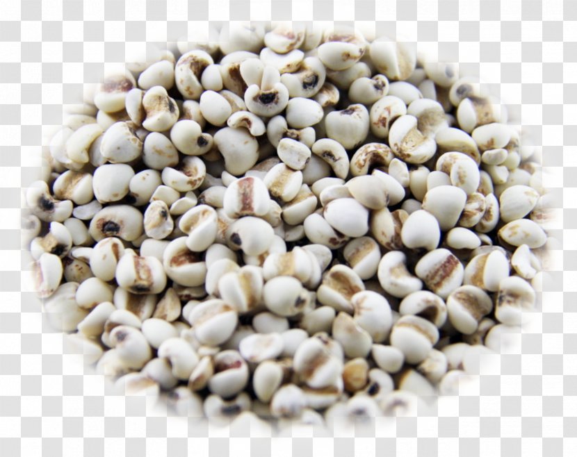 Adlay Photography Food Five Grains - Pulse - Barley Rice Free Pictures Transparent PNG