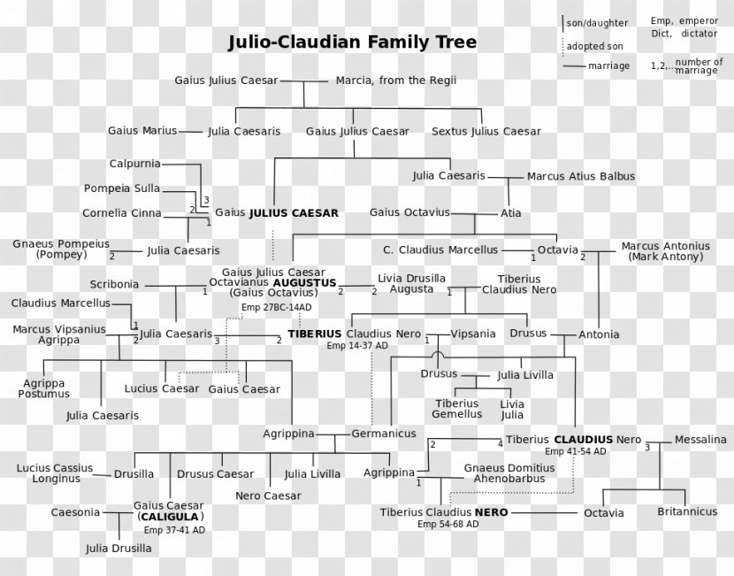 Principate Julio-Claudian Dynasty Family Tree I, Claudius - Frame - Timeline Transparent PNG