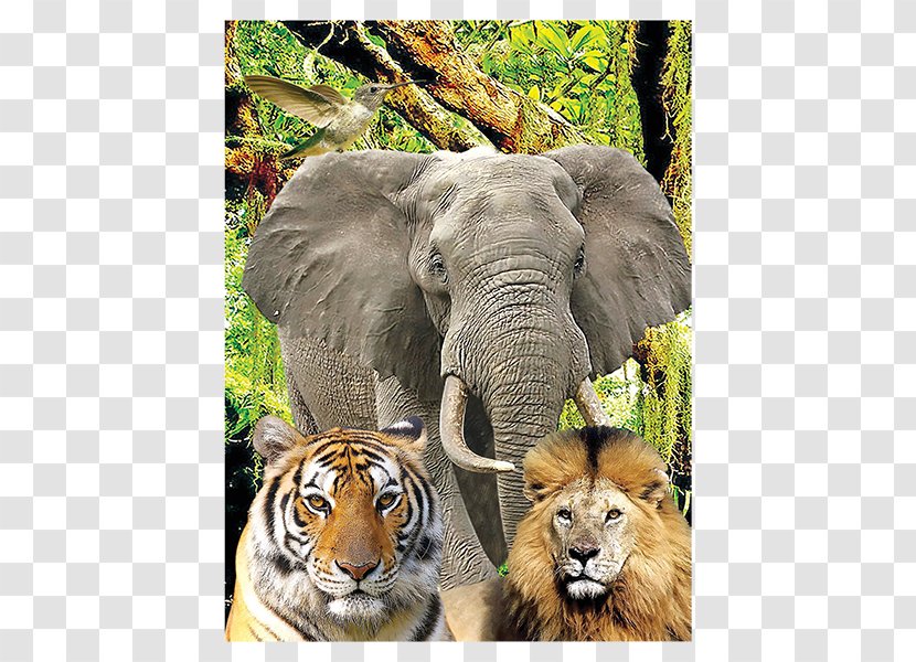 Jigsaw Puzzles Three-dimensional Space Indian Elephant Ravensburger Mechanical - Snout - Animal Family Transparent PNG