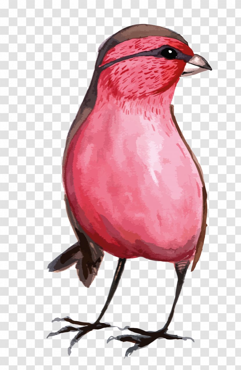 Bird Watercolor Painting Illustration - Chinese Transparent PNG