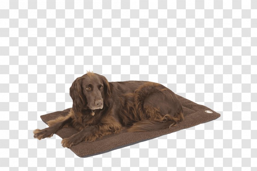 Boykin Spaniel Irish Setter Dog Breed Blanket - Super Transparent PNG