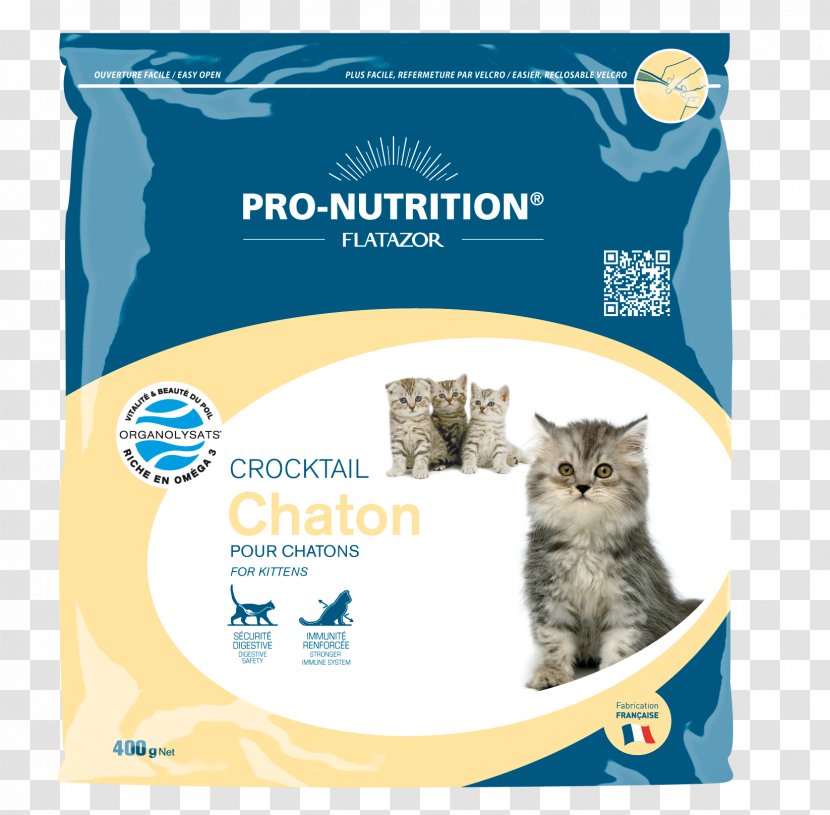 Kitten Maine Coon Croquette Scottish Fold Siberian Cat Transparent PNG