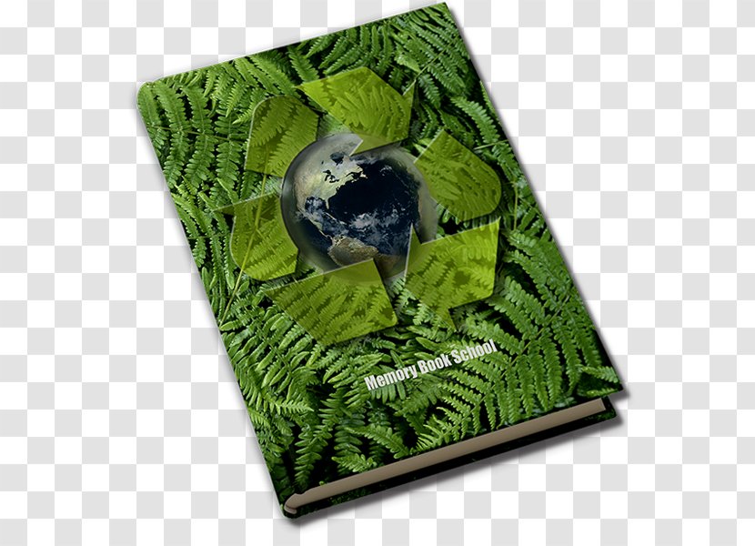 Manufacturing Book Coasters Absorption Fern Transparent PNG