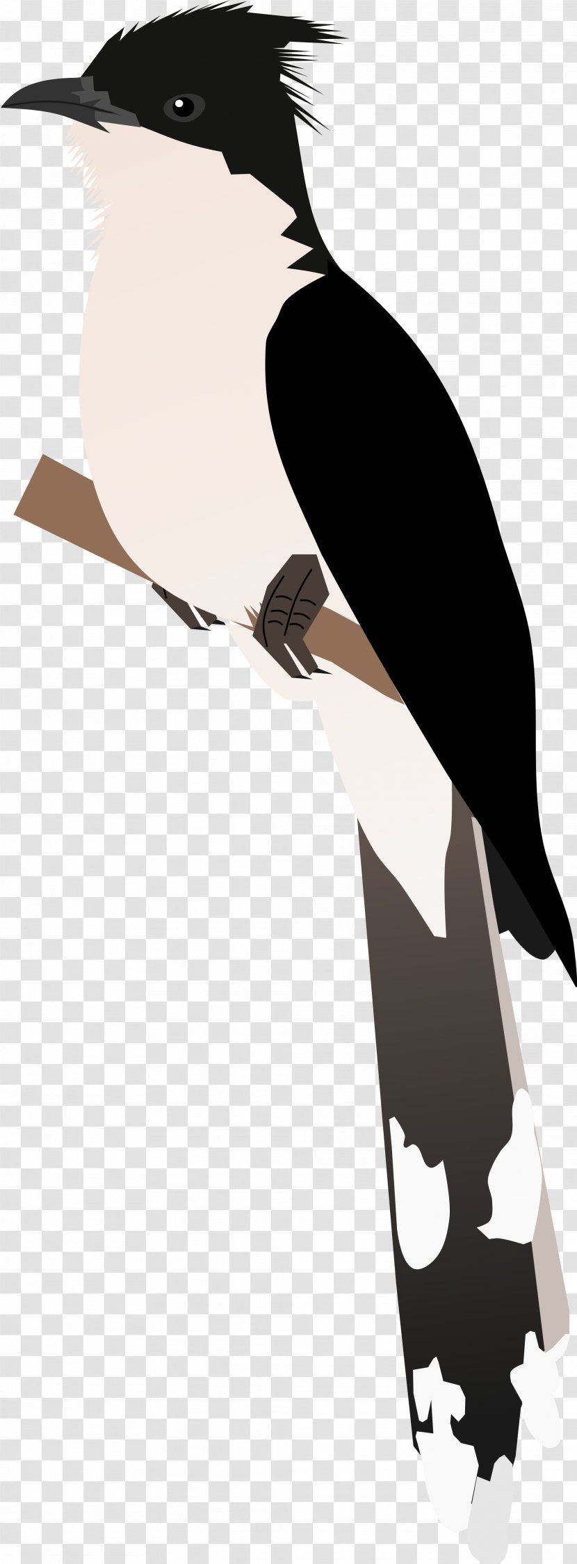 Beak Flightless Bird Silhouette Clip Art Transparent PNG