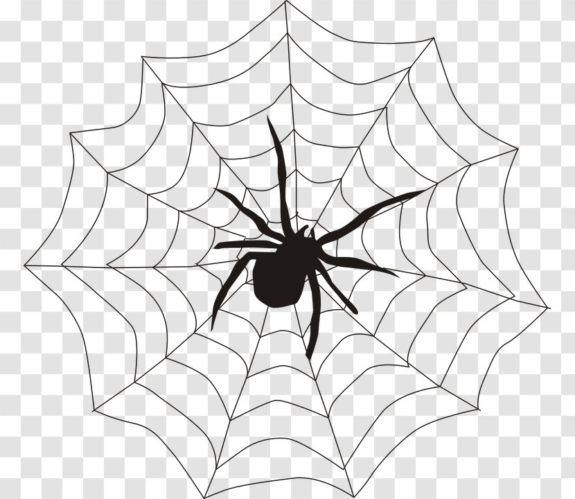 Spider Web Clip Art - Area Transparent PNG