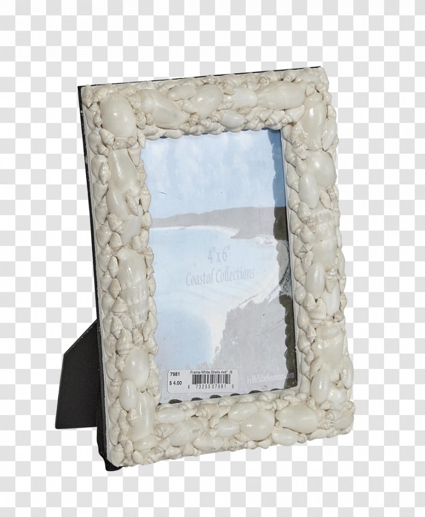 Picture Frames Seashell Window Light - Glass Transparent PNG