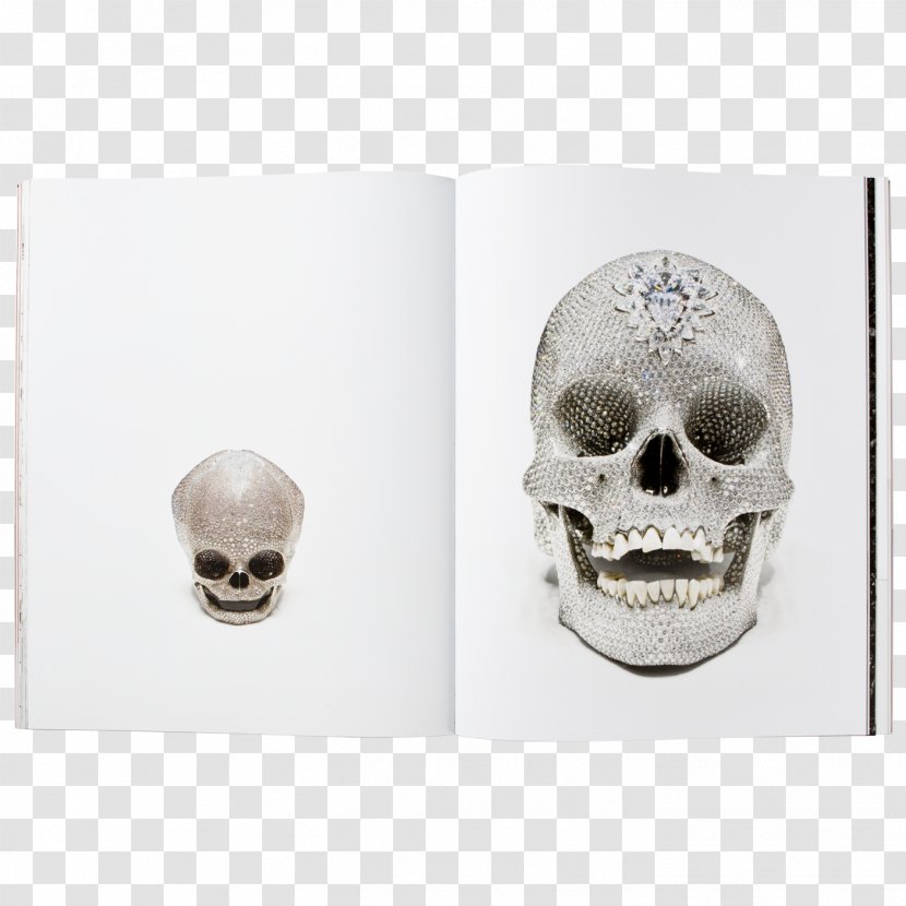 Skull - Bone Transparent PNG