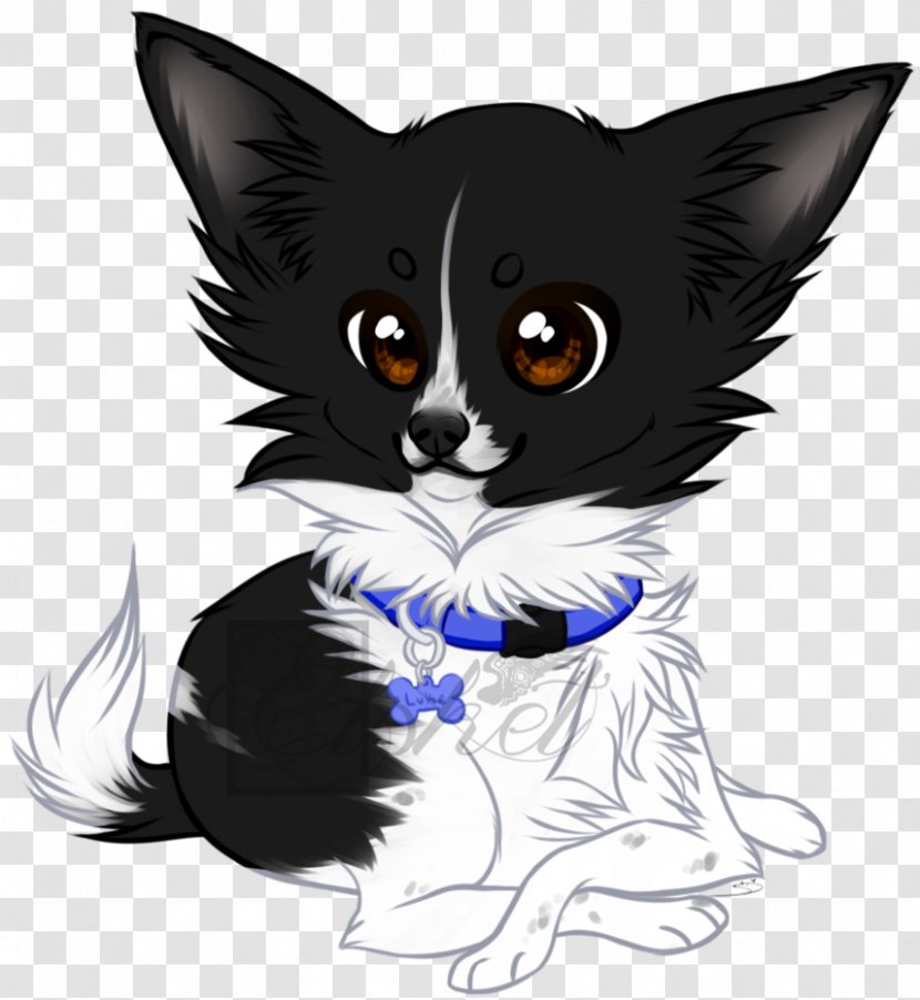 Whiskers Domestic Short-haired Cat Dog Canidae - Mammal - Papillon Chihuahua Mix Transparent PNG