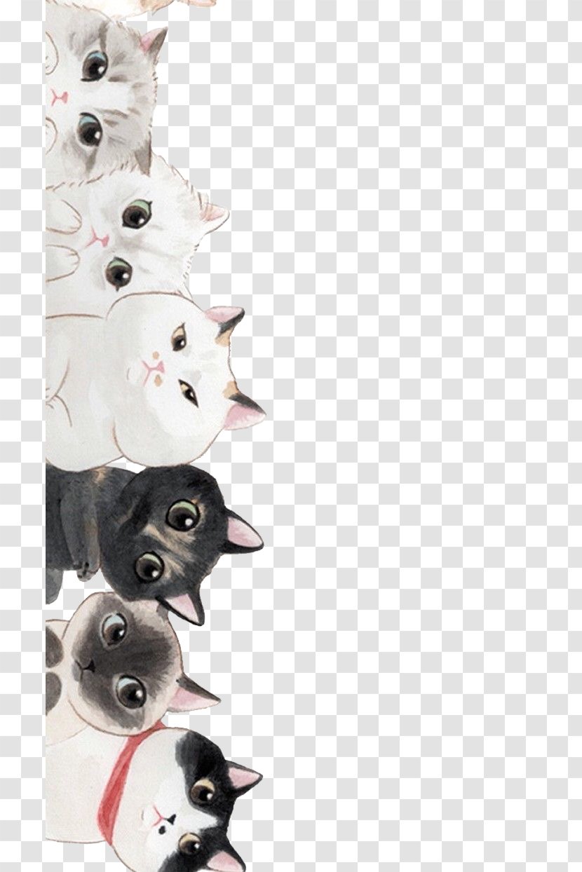 Cat Kitten Wallpaper - Small To Medium Sized Cats - Cartoon Transparent PNG