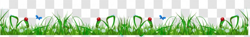Art Website Clip - Sticker - Flower Grass Cliparts Transparent PNG