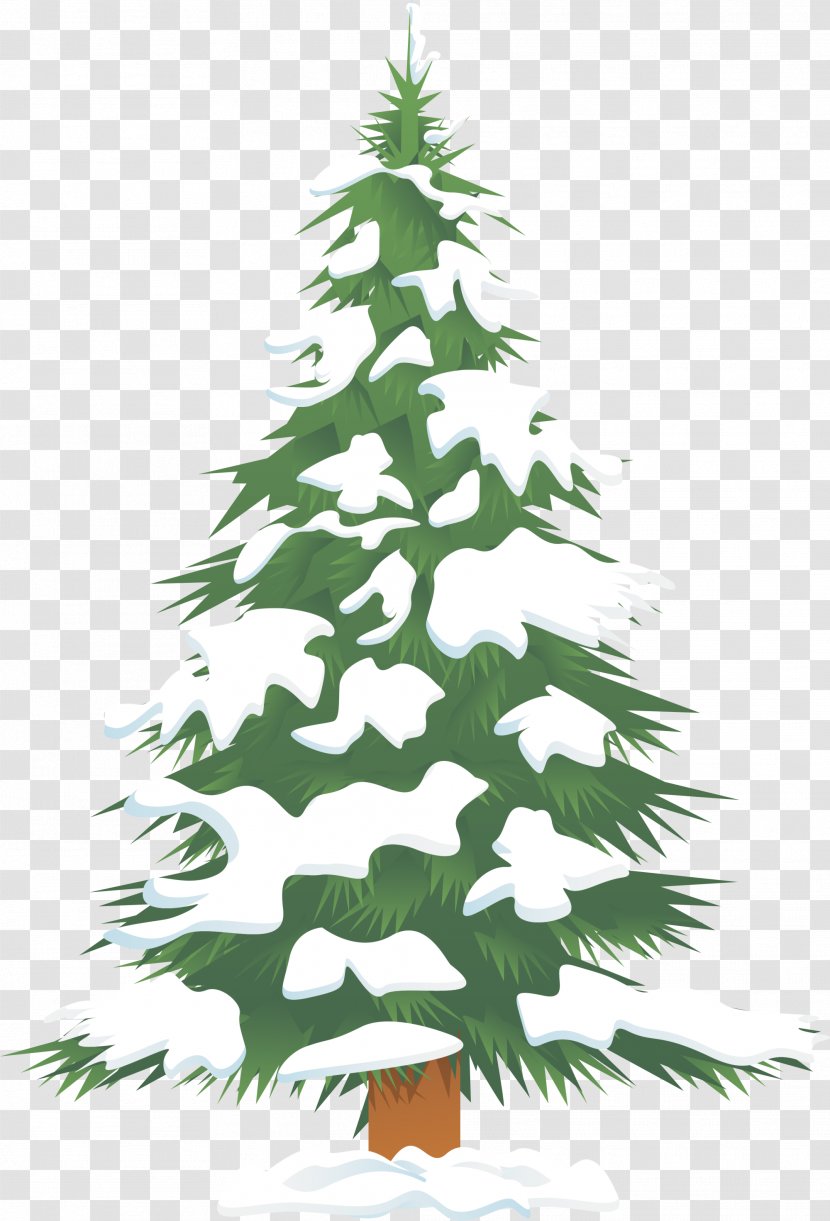 Christmas Tree - Pine - Green Snow Transparent PNG