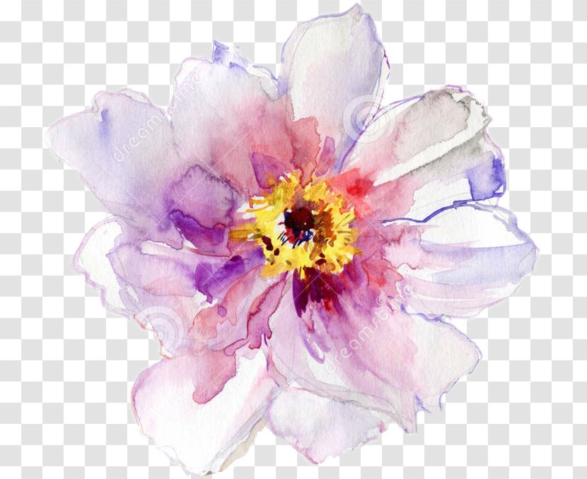 Purple Watercolor Flower - Painting - Wildflower Peony Transparent PNG