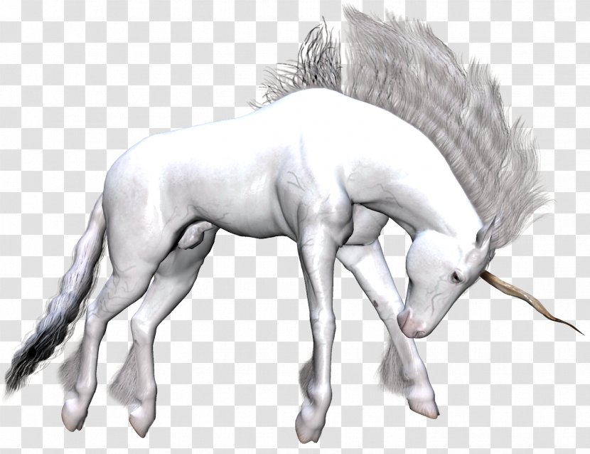 Unicorn Pegasus Mustang Fantasy Clip Art - Tail Transparent PNG