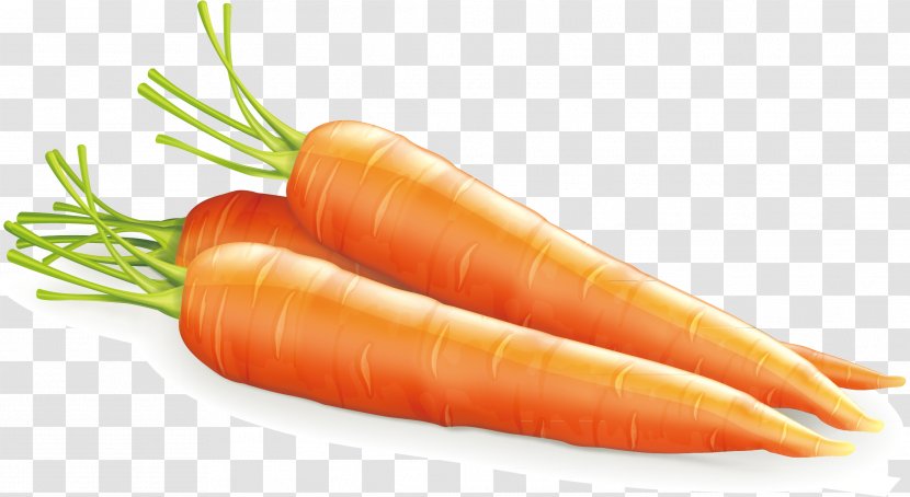 Baby Carrot Vegetable Agriculture Simulation - Decorative Material Transparent PNG