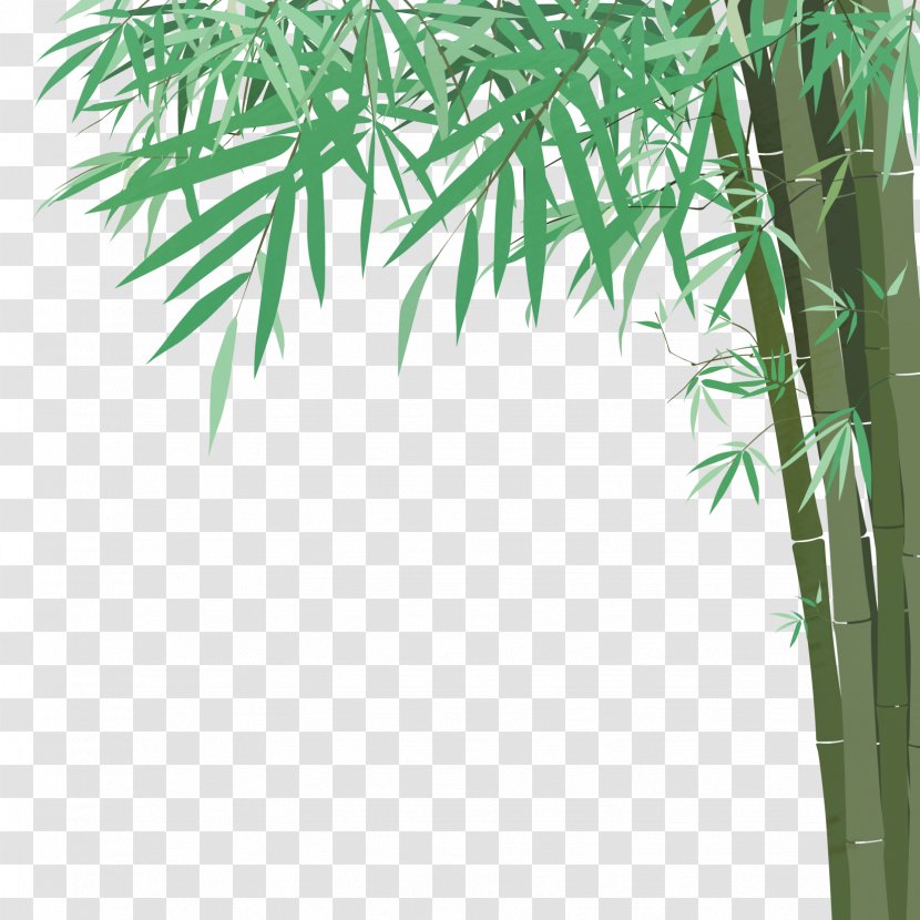 Bamboo Euclidean Vector Drawing Illustration - Art - Hand-painted Transparent PNG