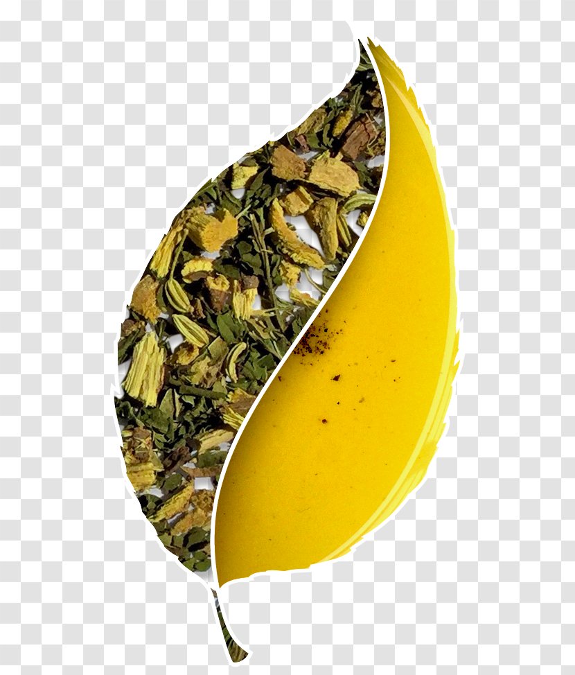 Green Tea Bancha Hibiscus Herbal - Ingredient - Leaves Transparent PNG