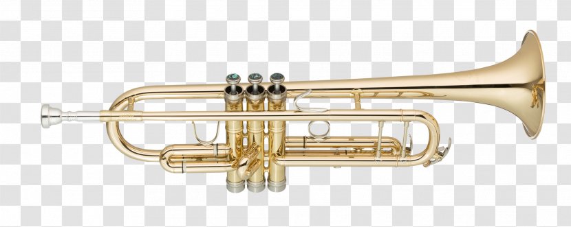 Cornet Trumpet Mouthpiece Brass Instruments Musical - Frame Transparent PNG