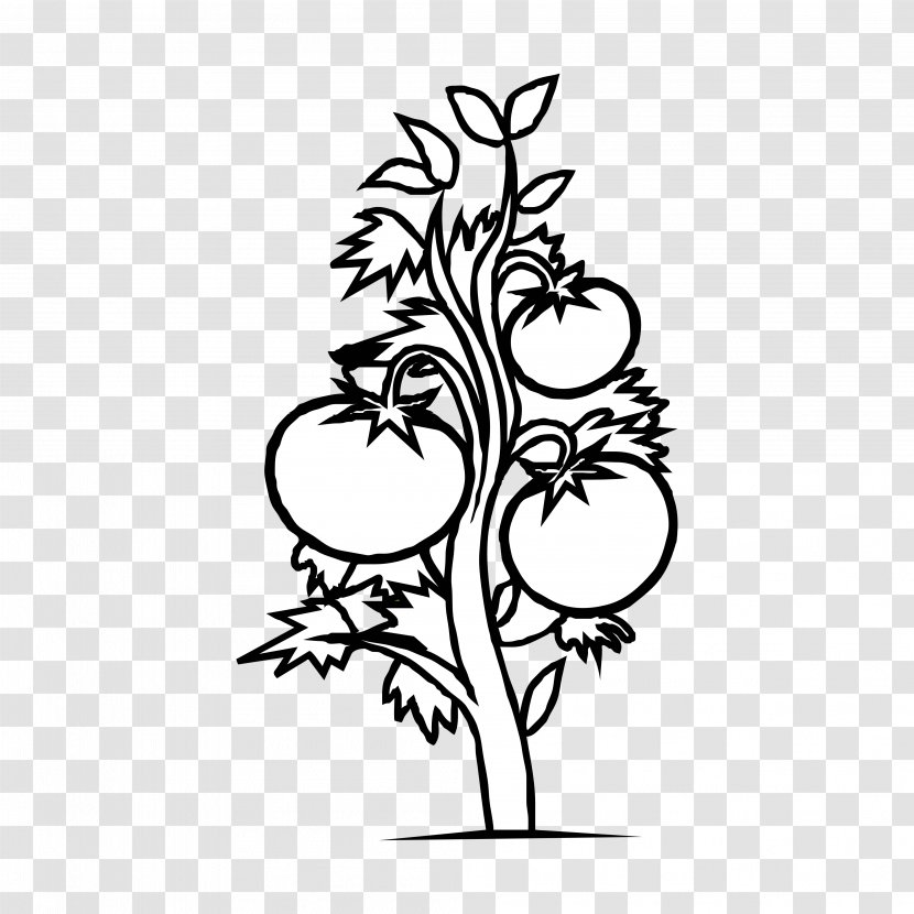 Clip Art Plants Plant Cell Flowering Black And White - Stem Transparent PNG