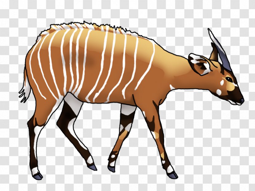 Antelope Bongo Drum Cartoon Drawing Clip Art - Organism - Water Buffalo Transparent PNG