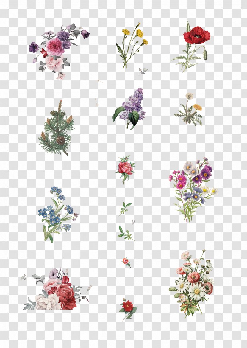 Floral Design Cut Flowers Petal - Flower Arranging Transparent PNG