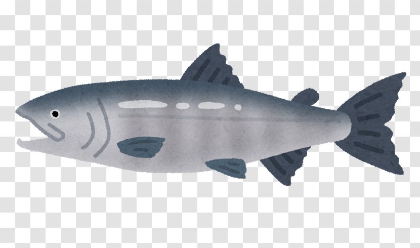Chum Salmon Smoked Salmonids Fish Sockeye - Red Caviar - Swimming Transparent PNG
