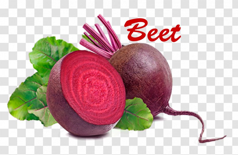Beetroot Cruciferous Vegetables Food Fruit - Bean - Vegetable Transparent PNG