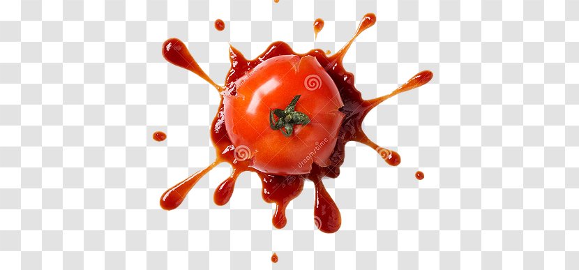 Stock Photography Pizza Tomato Italian Cuisine Ketchup - Sauce Transparent PNG