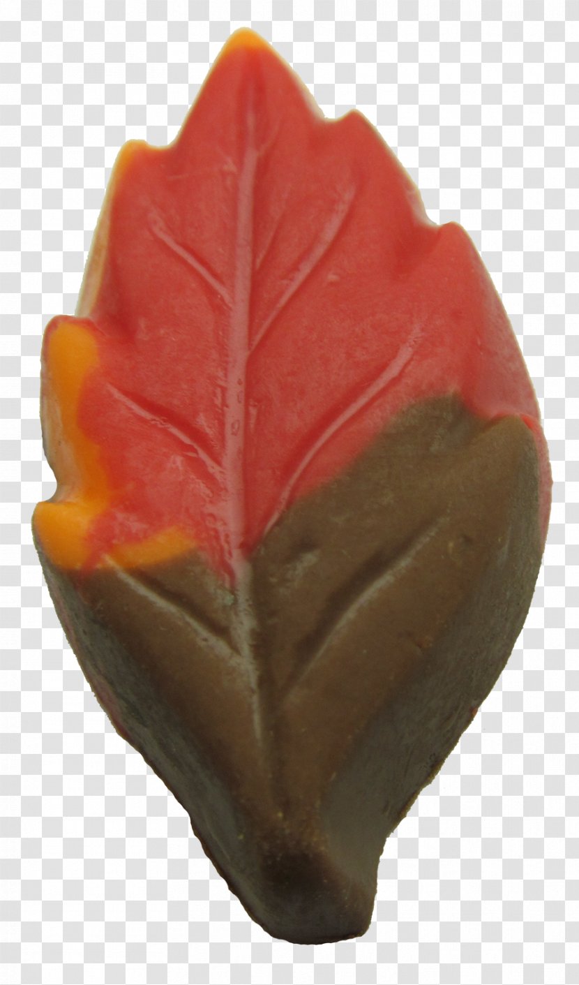 Candy Cane Maple Leaf Oak Red Ribbon Transparent PNG