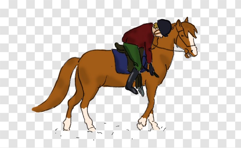 Pony Mustang English Riding Stallion Equestrian - Horse Transparent PNG