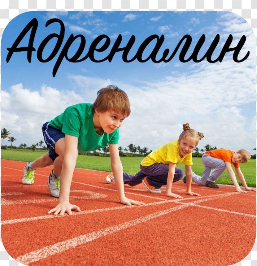 Child Physical Fitness Exercise Sports General Training - Multi Sport Event Transparent PNG