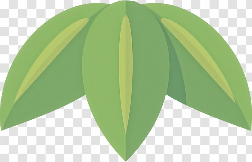 Green Leaf Plant Tree Yellow - Flower Transparent PNG