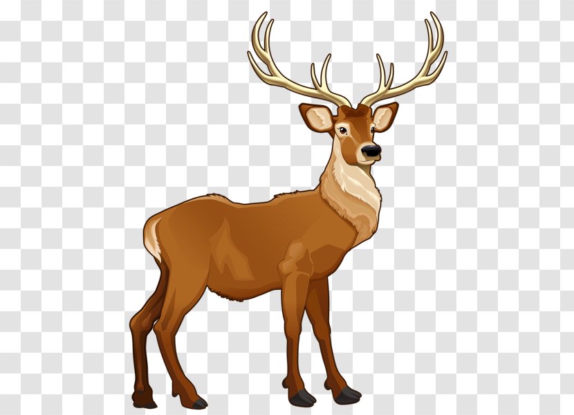 Free Content Clip Art - Blog - Reserved Noble Deer Transparent PNG