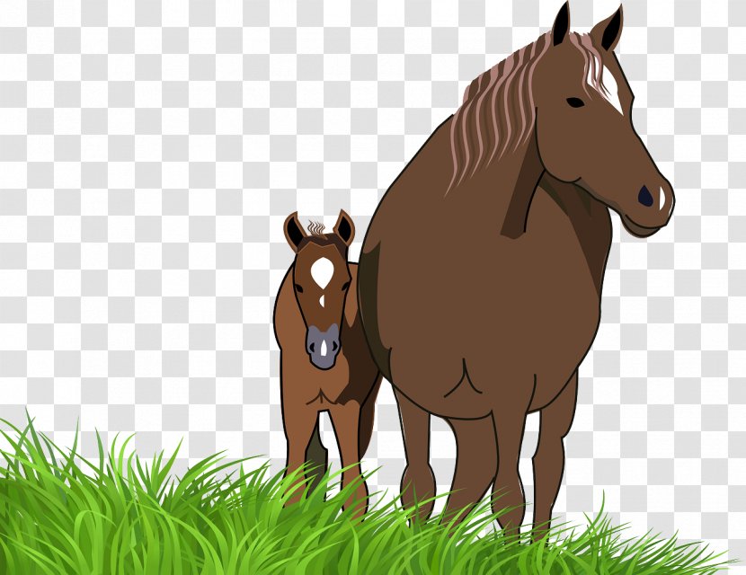 American Paint Horse Foal Mare Pony Clip Art - Supplies - Mustang On The Prairie Transparent PNG