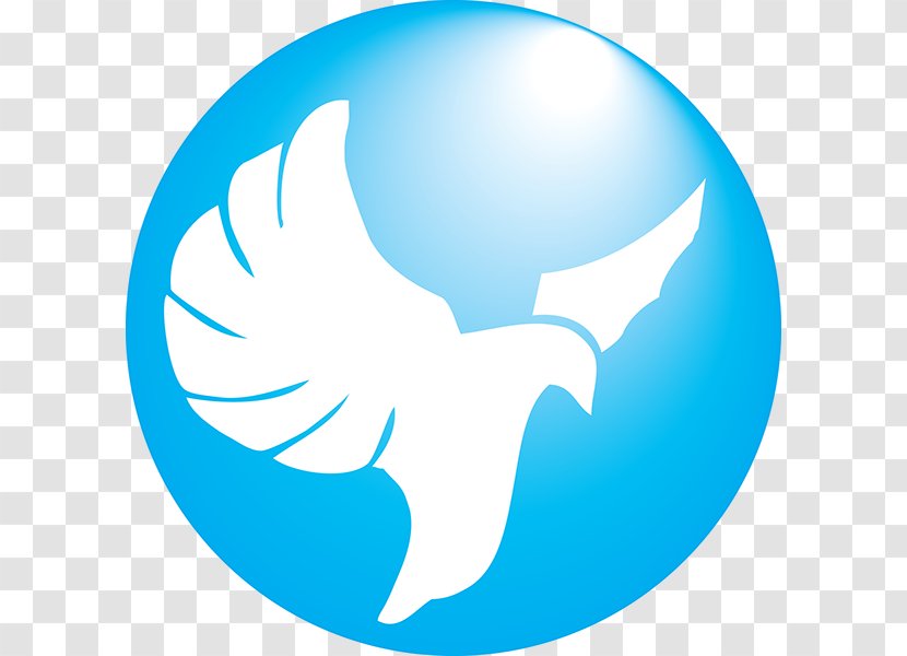 New Hope Windward Graphic Design Logo Image - Sky - Wing Transparent PNG