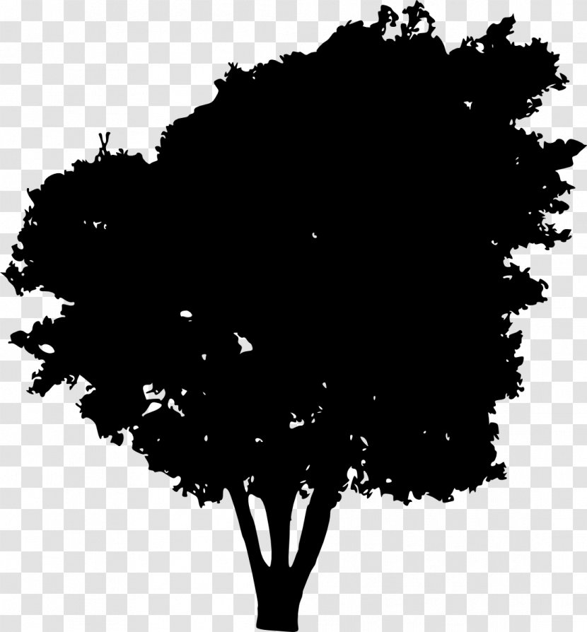Tree Silhouette Clip Art - Drawing Transparent PNG